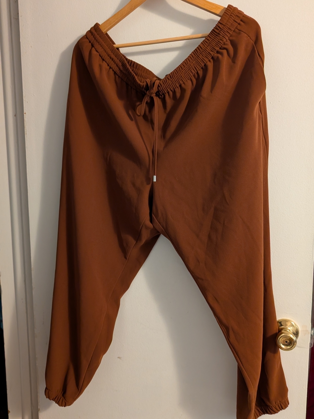 Express Women's Ankle Cropped Drawstring Pants - Brown